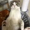 の写真