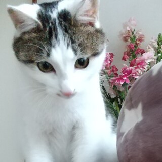 「募集一時停止」 美形男子ユッキー♪