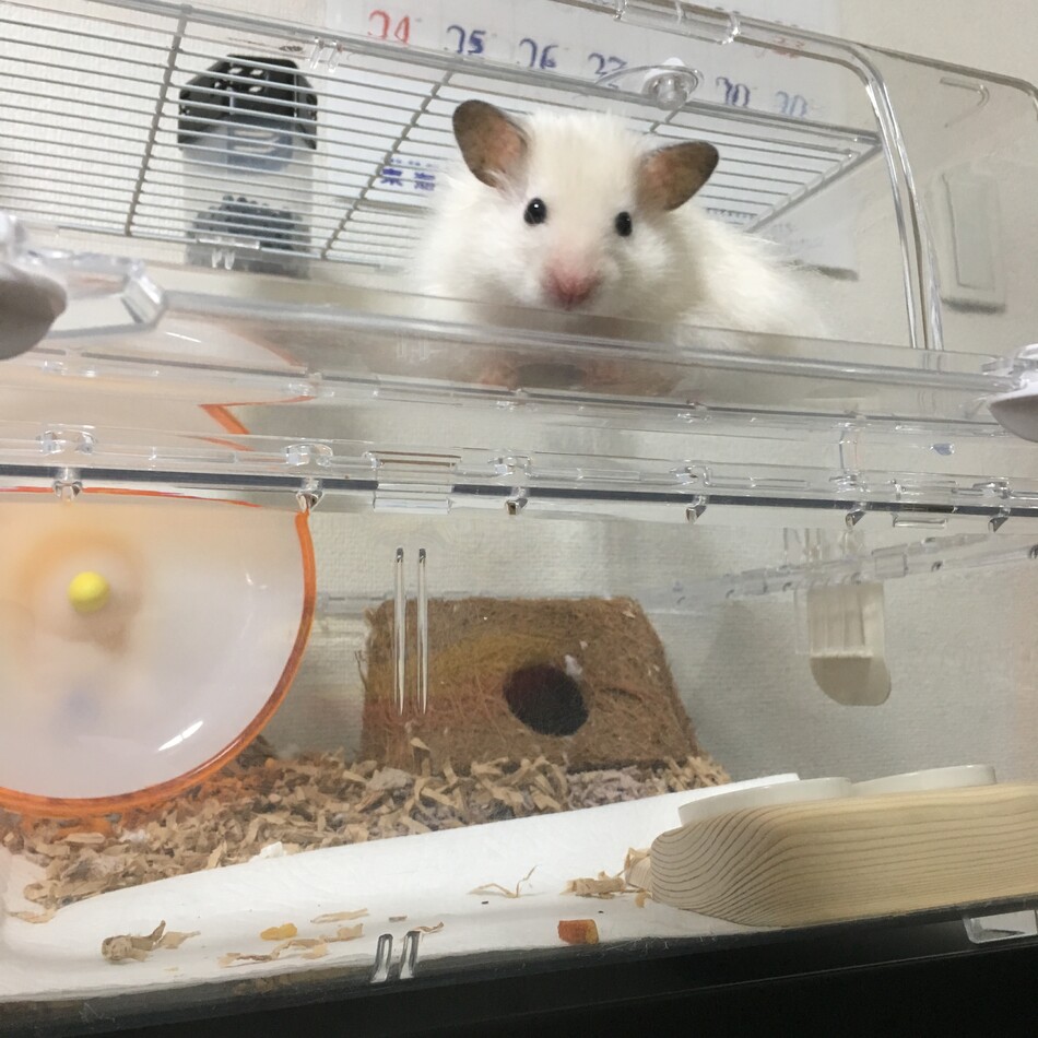 健太郎のカバー写真