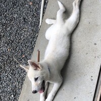 うる