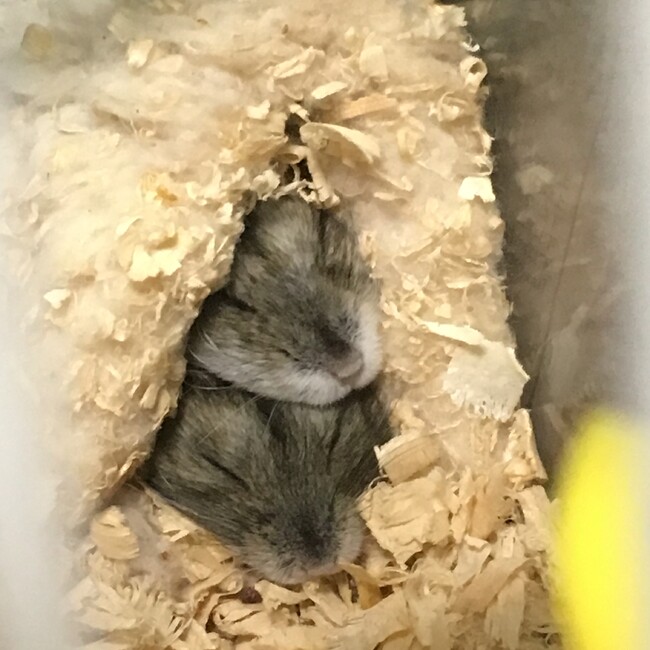 みぃ*mioのカバー写真