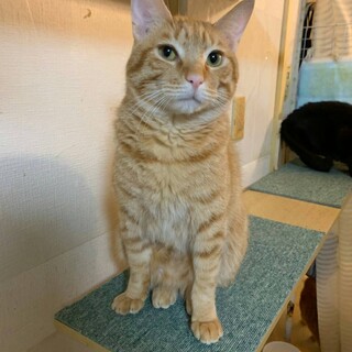 イケメン男子ちゃーすけ！