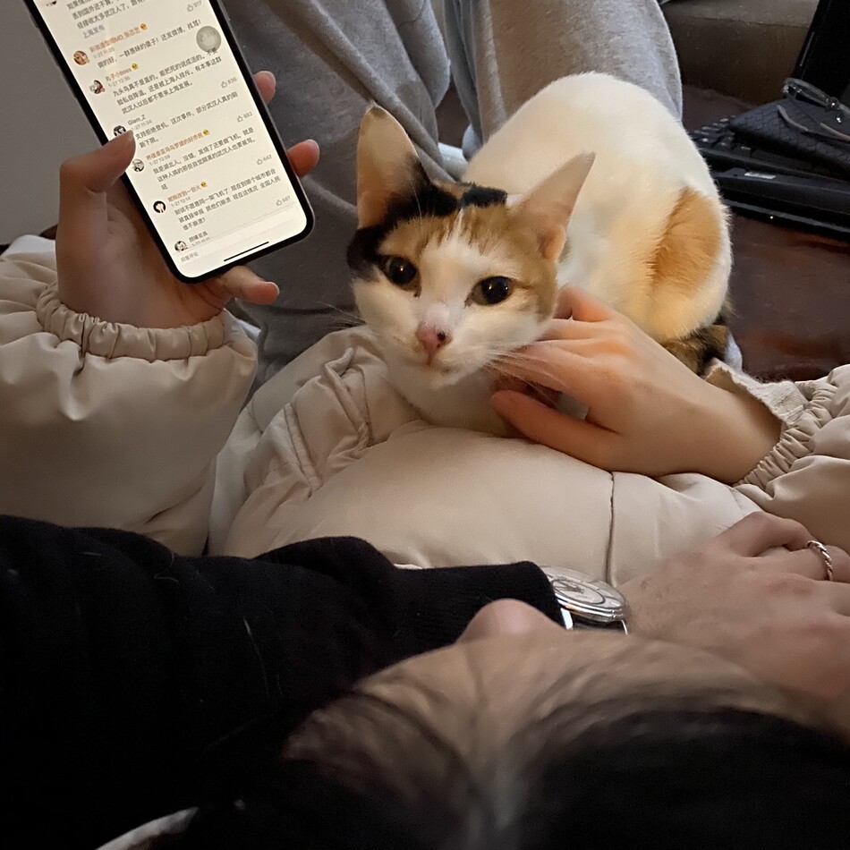 ハラミのカバー写真