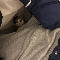 好きな居場所