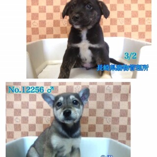 交渉中、一時停止