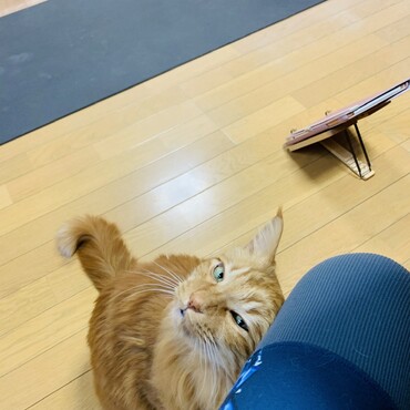 甘えん坊くん
