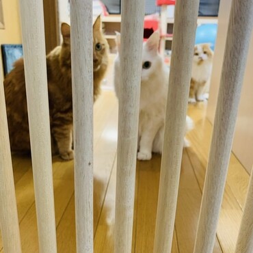 の写真