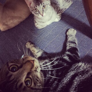 よる8とオポ5ヶ月コンビ♡