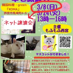 もふもふ西宮　保護猫の幸せ譲渡会