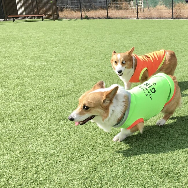 銀白のカバー写真