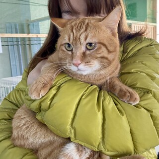 【保護猫】マイケル君♂