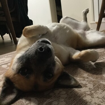 の写真