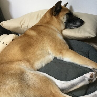 の写真