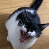 りーもー084