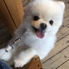 ばんどぅさん