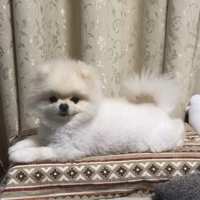 ばんどぅのカバー写真