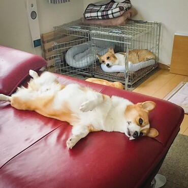 の写真