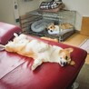 の写真