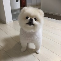 天（てん）