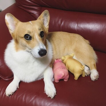 の写真