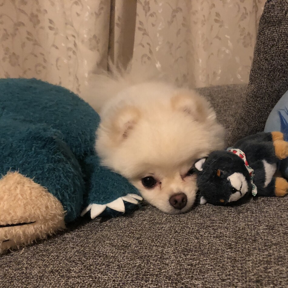 天（てん）のカバー写真