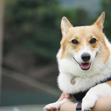 の写真