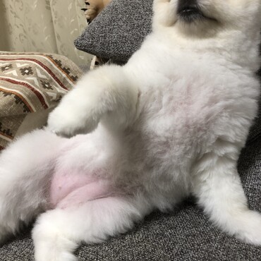 の写真
