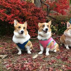 登録してみました