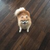 の写真