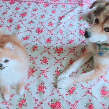 の写真
