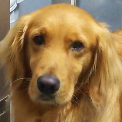 てんちゃん病院へ