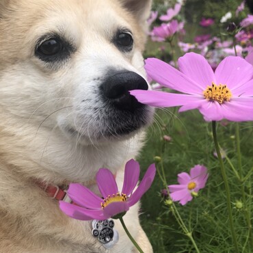 の写真