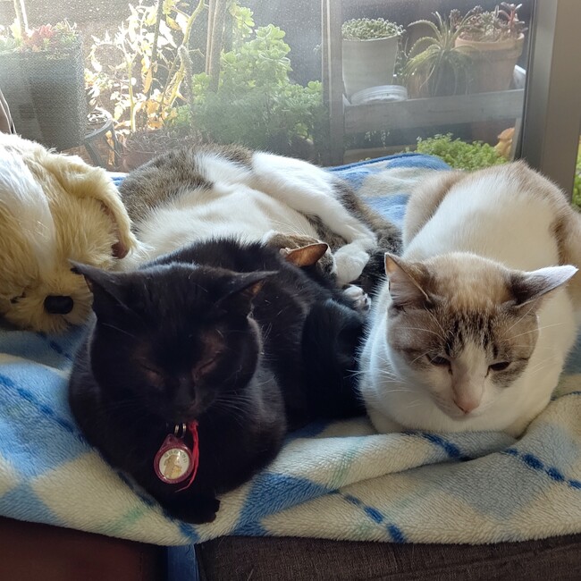 みかまいのカバー写真