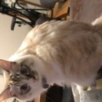 ルナ