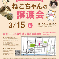 ねこざんまい譲渡会@浅草橋