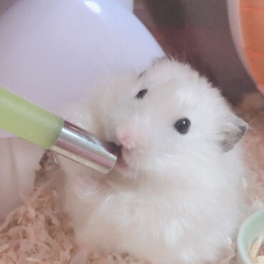 可愛い✨