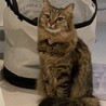 まぐ