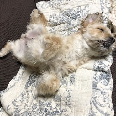 面白い寝相☆