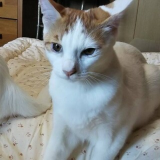 ありがとうございます 　