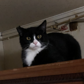 怖い物知らずのデールです。