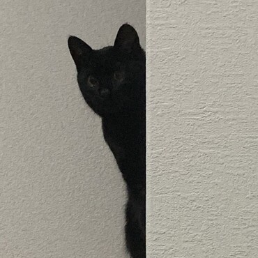 の写真