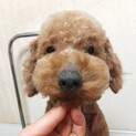 ありがとうございました