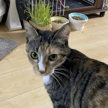 呼んだら振り向く