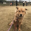 穏やか可愛いかすみちゃん♡