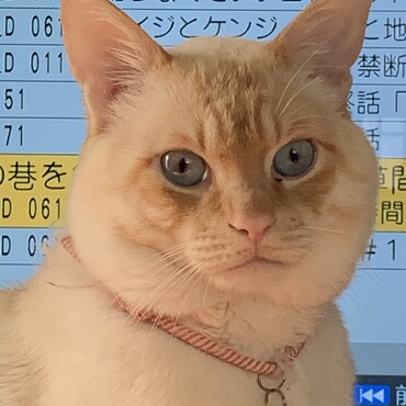 の写真