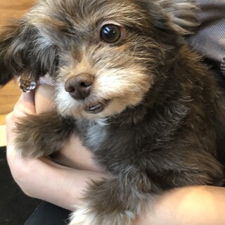 ウィンク片目のめめちゃん♪