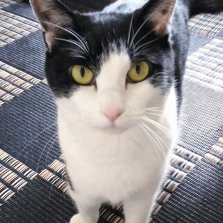 セレーナ♪動画・LINEビデオ通話お見合い有り！！