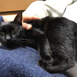 スリスリの甘えん坊さん。小柄で可愛い女の子