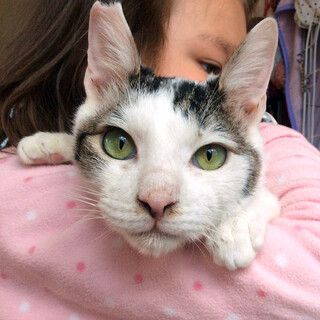 人慣れ抜群の男の子。初対面でもなでなでできます