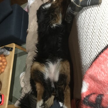 眠い